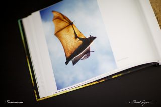 article-5DMkII-IMG_1263  “No Words 1X5” from 1x.com
