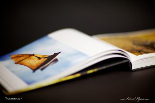article-5DMkII-IMG_1264  “No Words 1X5” from 1x.com