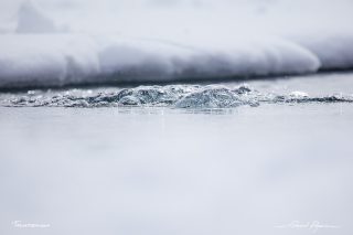 Plongée sous glace à Tignes 