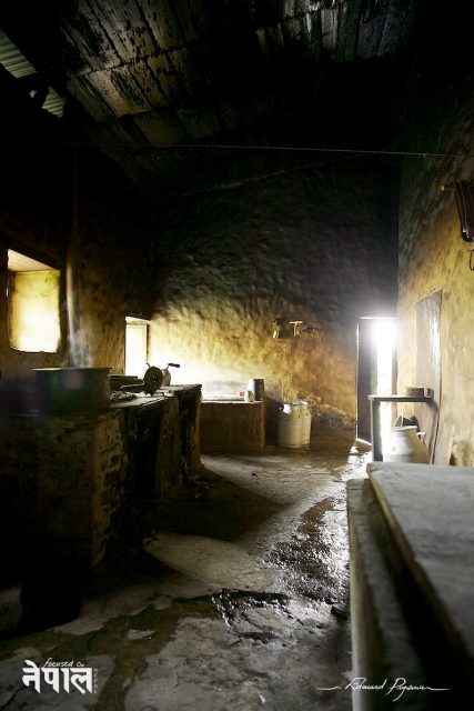 Le Fromager de Chandanbari 