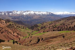 Malika, bergère Malika, bergère