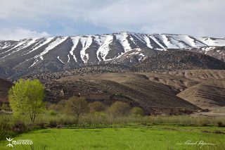 Environs de Timmit Environs de Timmit