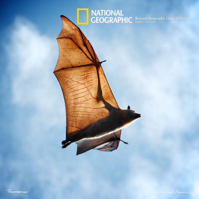 Vie sauvage &#038; faune